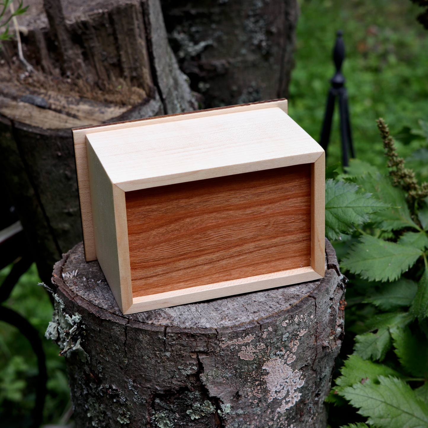 Maple & Cherry Box with World Triad Inlay