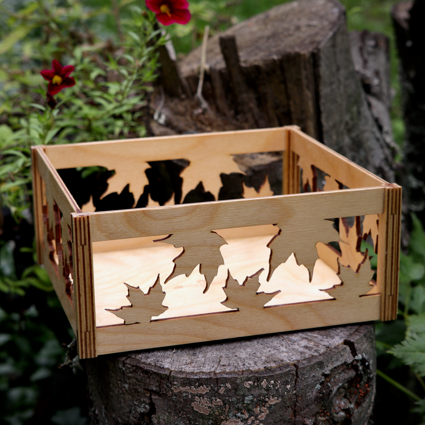 Maple Leaf box